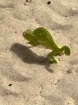 Chameleon